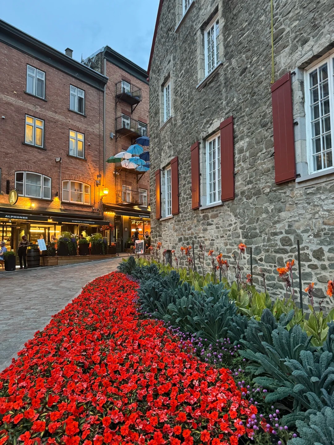 Summer in Quebec City 🏰👑_8_依依Alice_来自小红书网页版.jpg