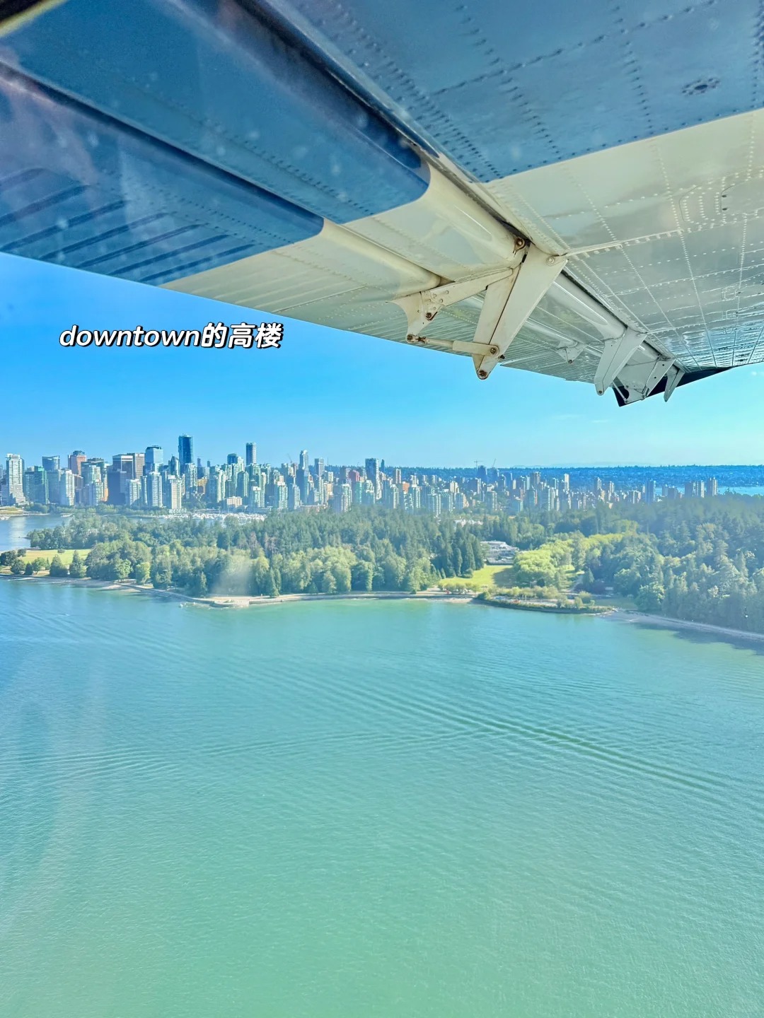温哥华·又体验了一次水上飞机🛩️☁️_7_ohlasusu_来自小红书网页版.jpg