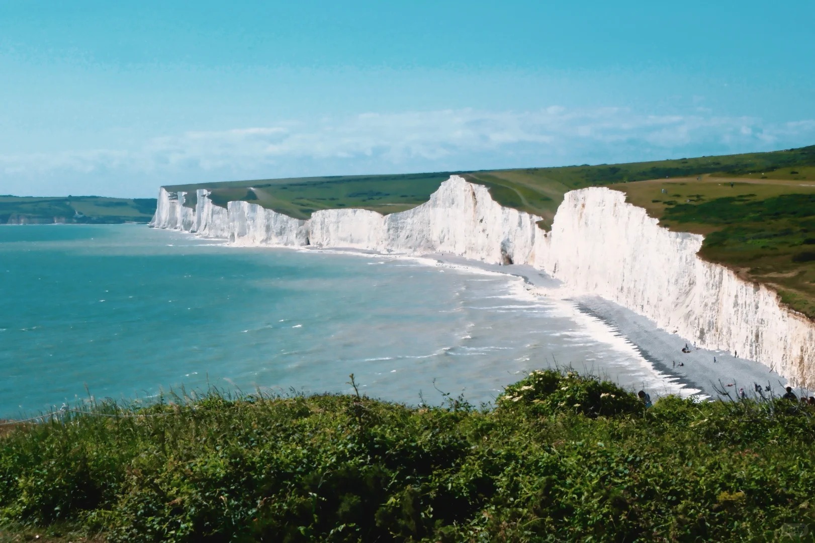 Journey ｜ 来自白垩纪的浪漫礼物💝_3_青柠无尽夏_来自小红书网页版.jpg