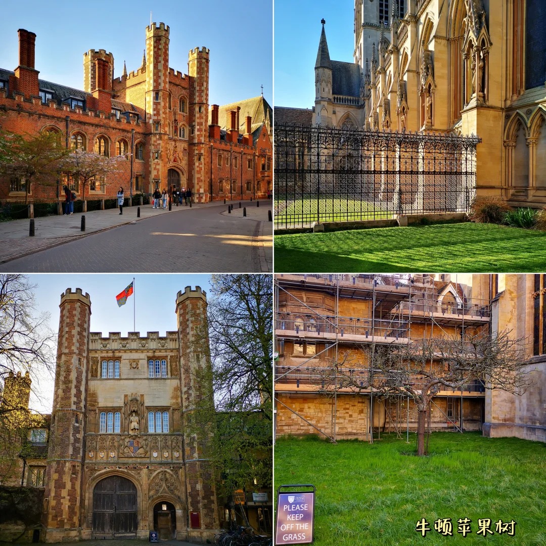 🇬🇧英国 _ 剑桥的一些景点_10_草莓松饼_来自小红书网页版.jpg