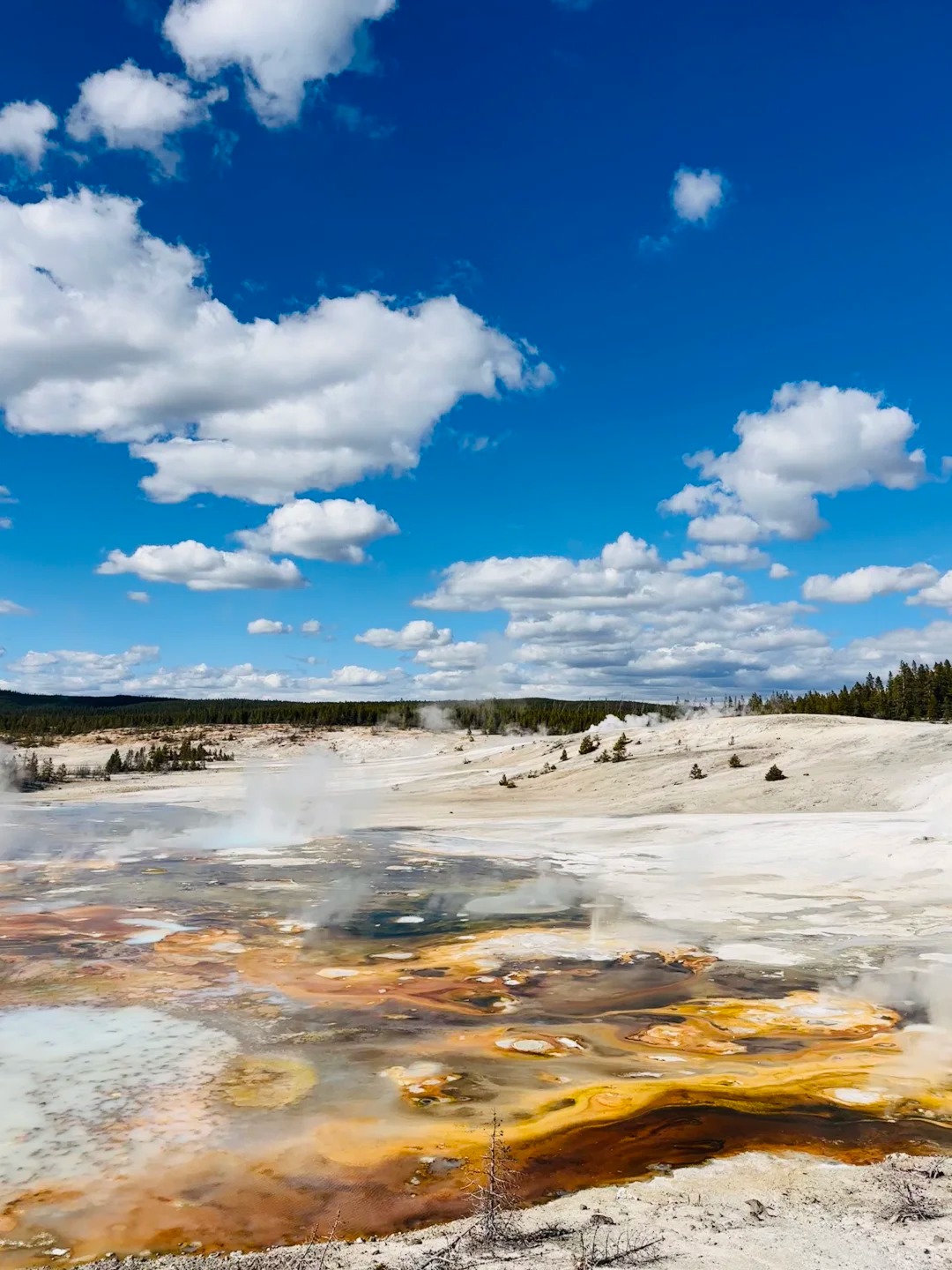 📍黄石国家公园 野性的宁静_5_摸鱼局局长_来自小红书网页版.jpg
