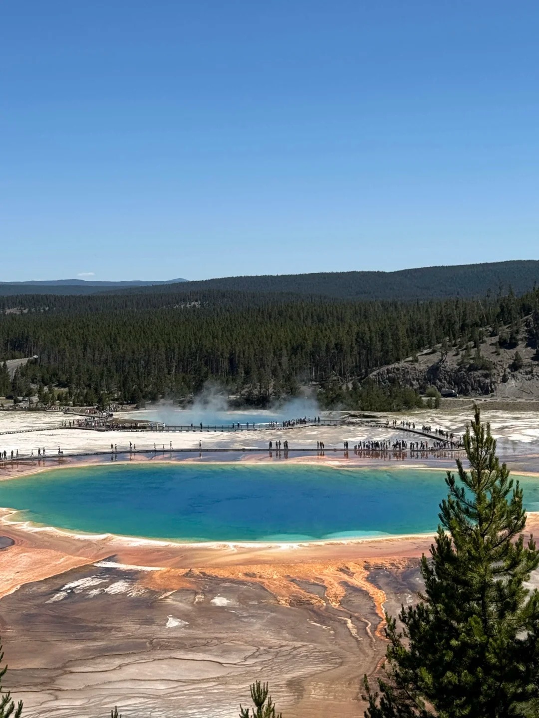 🇺🇸黄石公园丨生命就该浪费在这种地方！_2_Louise~_来自小红书网页版.jpg