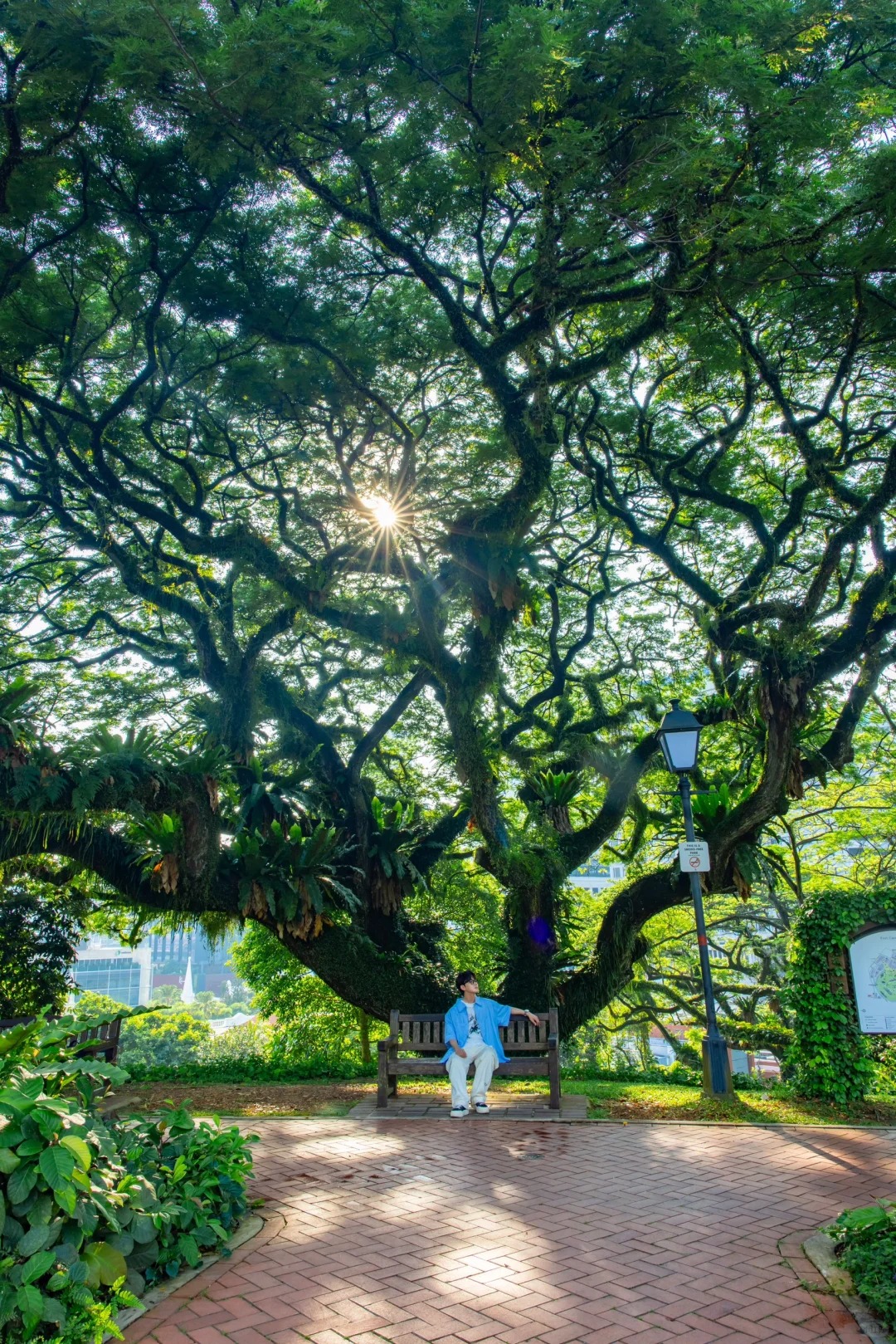 新加坡Citywalk的照片，发朋友圈被问疯了‼️_4_卡斯LV_来自小红书网页版 (1).jpg