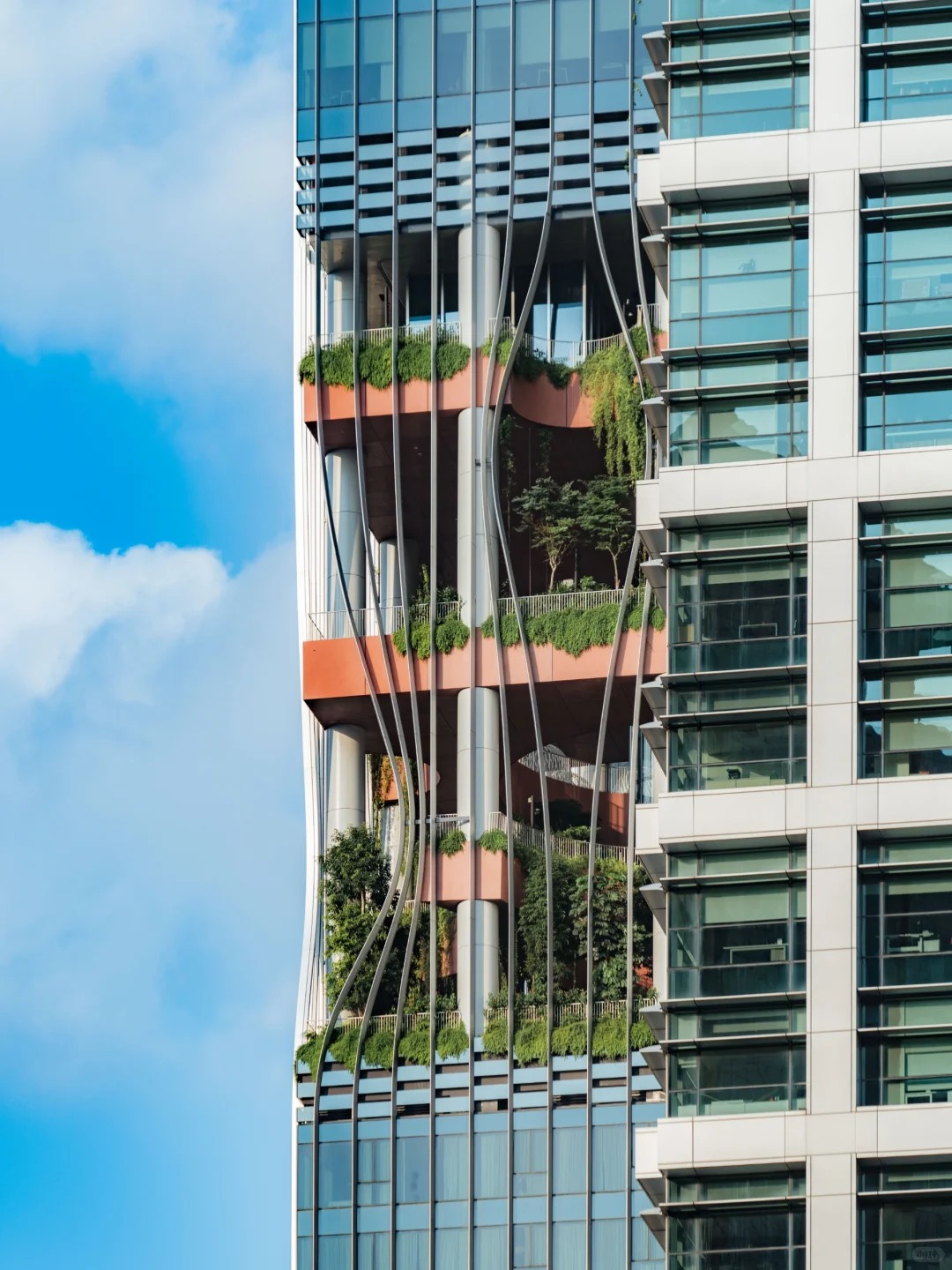走过新加坡这条街🌿才明白什么叫垂直森林_2_Drinky小键键_来自小红书网页版.jpg