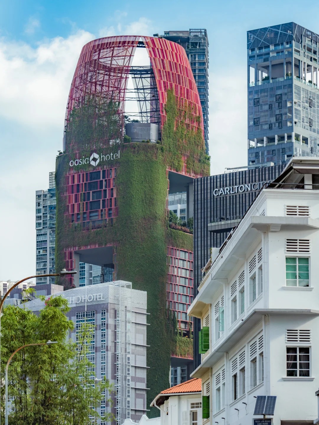 走过新加坡这条街🌿才明白什么叫垂直森林_3_Drinky小键键_来自小红书网页版.jpg