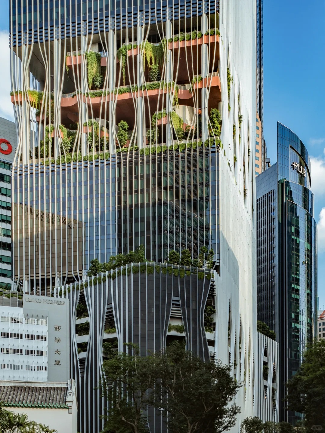 走过新加坡这条街🌿才明白什么叫垂直森林_8_Drinky小键键_来自小红书网页版.jpg