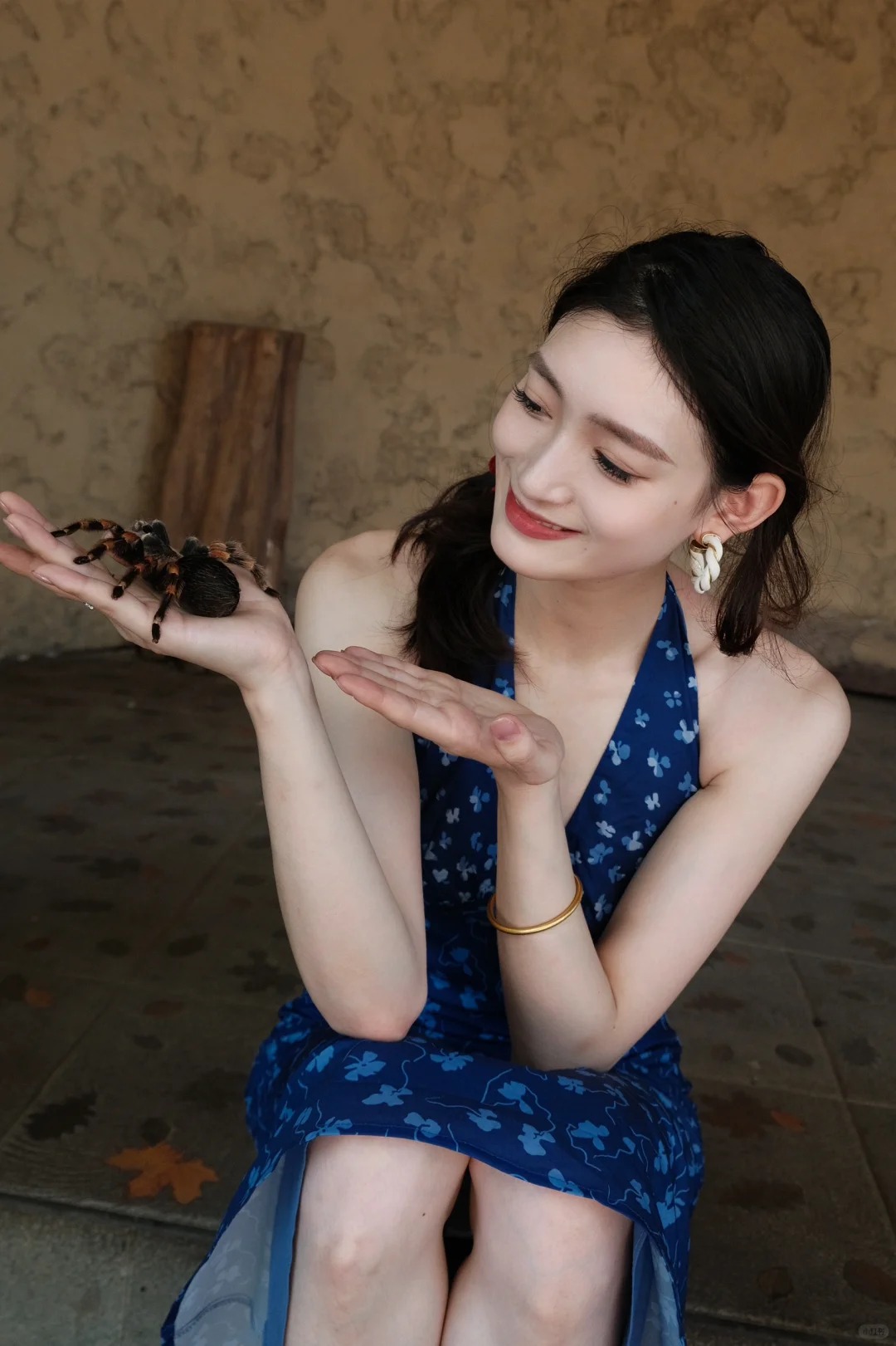 ❗️❗️❗️来巴厘岛必去的Hidden mini zoo_5_玖玖的乱七八糟💫_来自小红书网页版.jpg