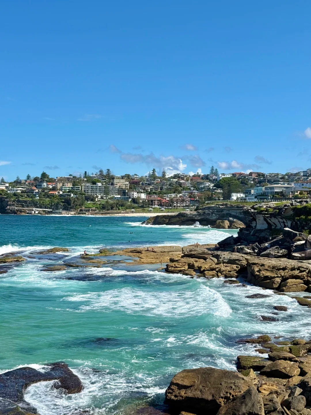 🇦🇺Bondi_to_Coogee_徒步｜悉尼最美海岸线_7_Luke_来自小红书网页版.jpg