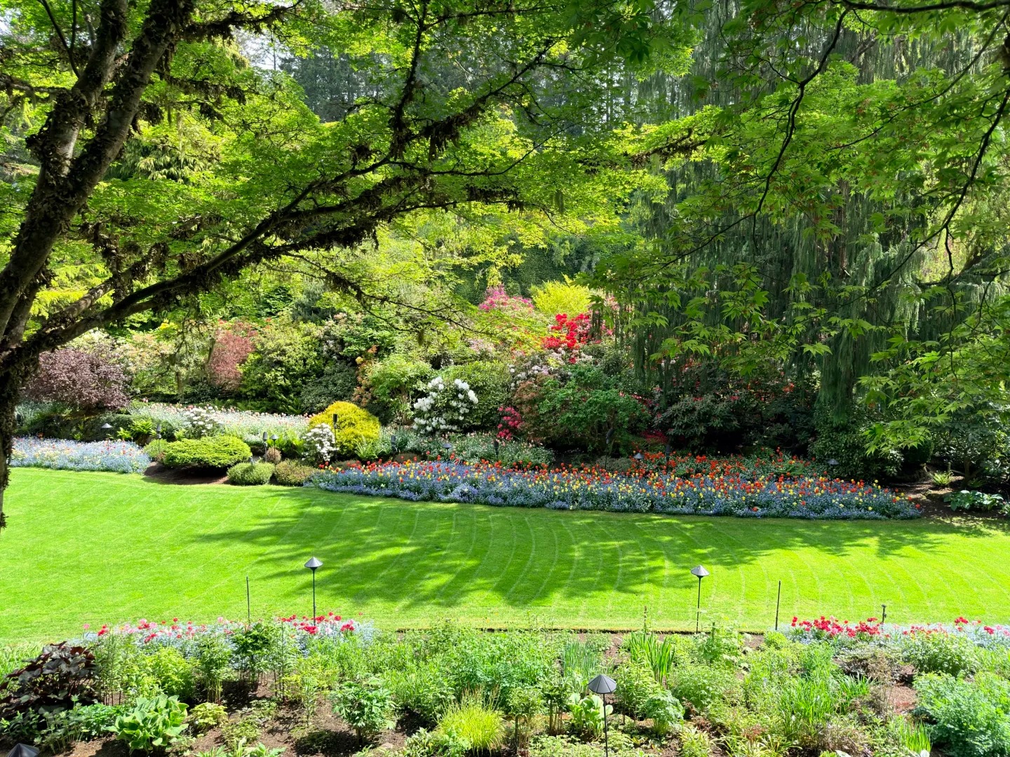 美得让人落泪的The_Butchart_Gardens_5_七页禾_来自小红书网页版.jpg