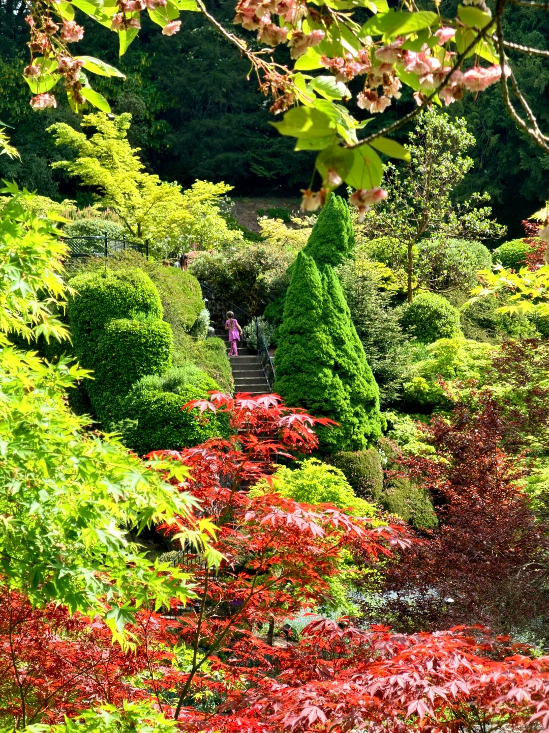 美得让人落泪的The_Butchart_Gardens_6_七页禾_来自小红书网页版.jpg