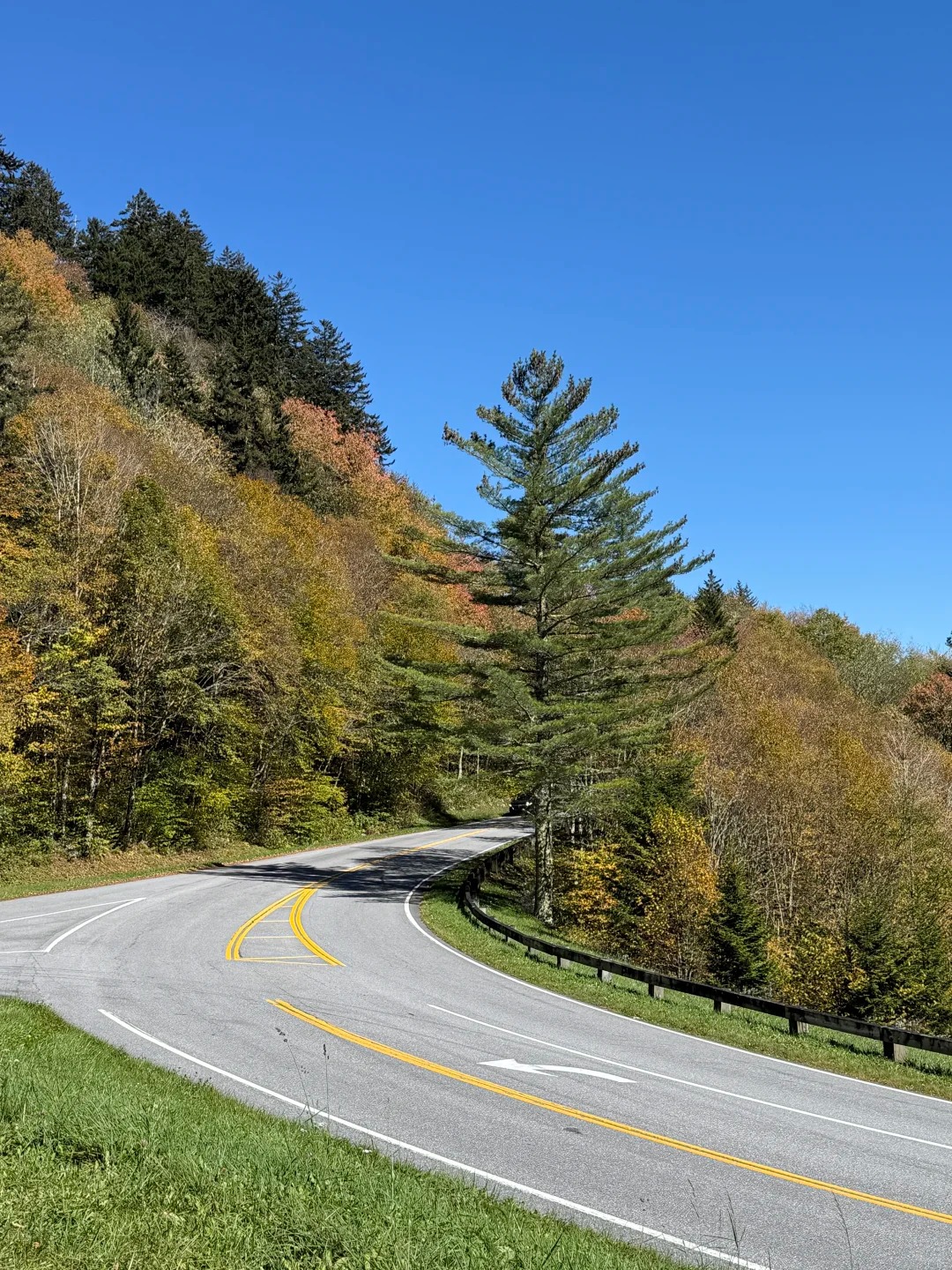 ⛰️🍂⛺️_at_great_smoky_mountains_1_Grace_来自小红书网页版.jpg