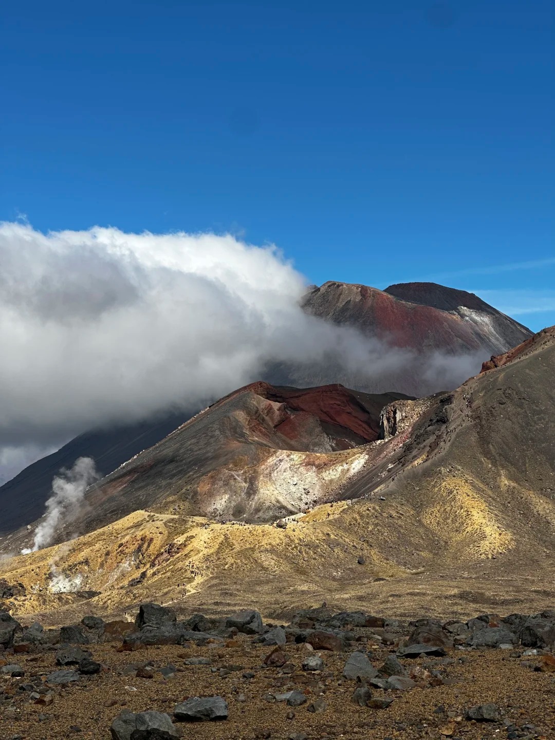 回来了！已累瘫。4.4汤加里罗火山线徒步攻略_4_小黑点儿姐姐_来自小红书网页版.jpg